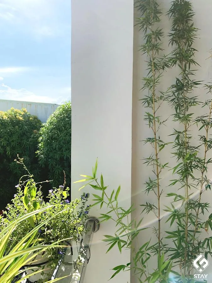 Guest house Fstay - Cozy And Peaceful Homestay Da Nang